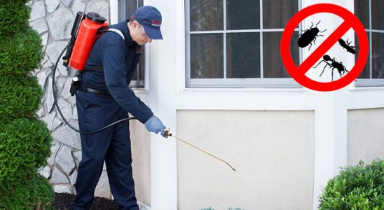 Yalova Akrep İlaçlama böcek ilaçlama ve haşere kontrolü — ilaclama-tr.com